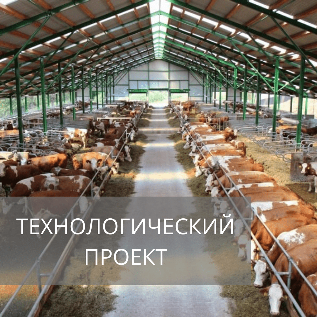 Технология содержания животных на ферме