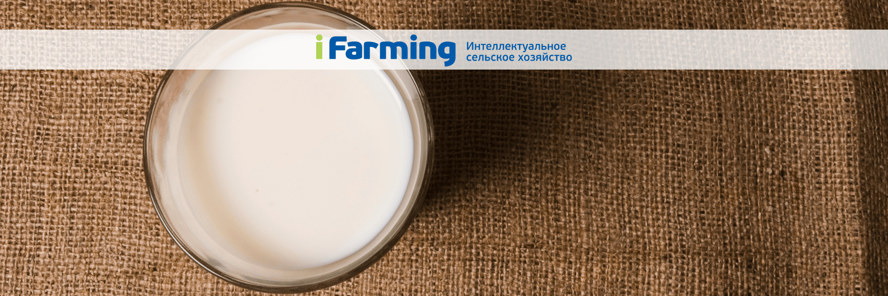 Субсидия на поддержку производства молока
