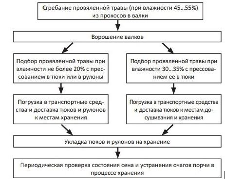 Технология заготовки сена люцерны