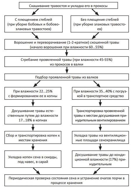 Технология заготовки сена люцерны