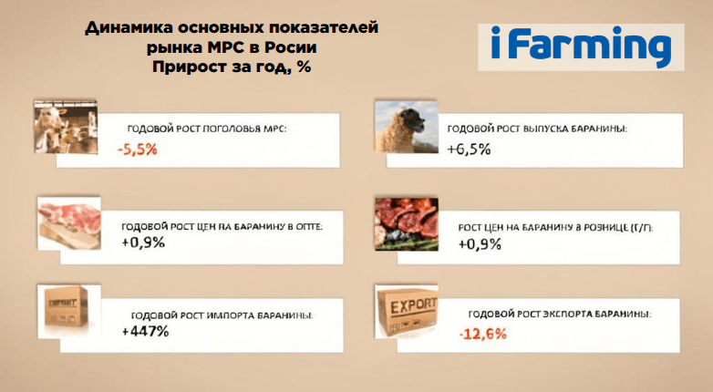 ТЕКУЩАЯ ОБСТАНОВКА В ЭКОНОМИКЕ И АПК РОССИИ. РЫНОК МРС И БАРАНИНЫ.