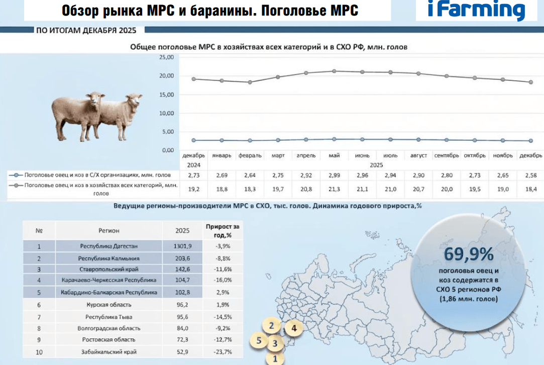 ПРОИЗВОДСТВО БАРАНИНЫ В ТОВАРНОМ СЕКТОРЕ. ОБЗОР РЫНКА МРС.