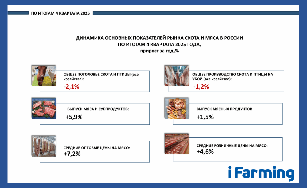 ТЕНДЕНЦИИ РОССИЙСКОГО МЯСНОГО РЫНКА